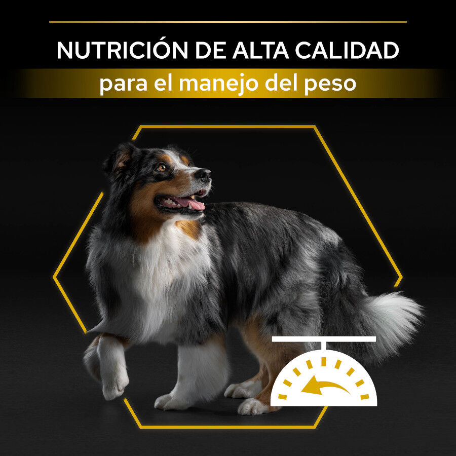 3 kg Pro Plan Adult All Sizes Light/Sterilised Pescado Blanco pienso para perros, , large indicador imagen numero 5